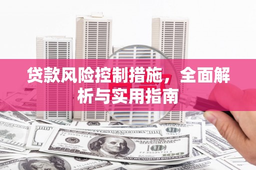 双流贷款风险控制措施，全面解析与实用指南
