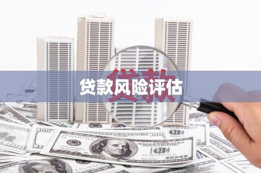 双流贷款风险评估