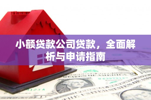 双流小额贷款公司贷款，全面解析与申请指南