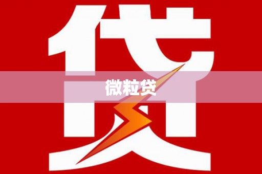 双流微粒贷