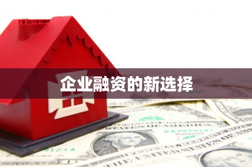 双流企业融资的新选择