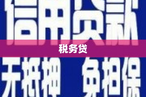 双流税务贷