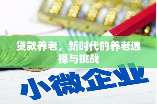 双流贷款养老，新时代的养老选择与挑战