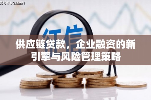 双流供应链贷款，企业融资的新引擎与风险管理策略
