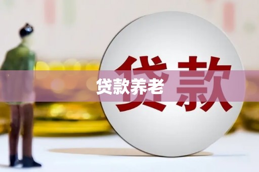双流贷款养老
