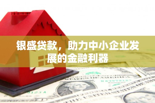 双流银盛贷款，助力中小企业发展的金融利器