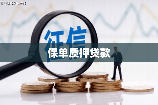 双流保单质押贷款