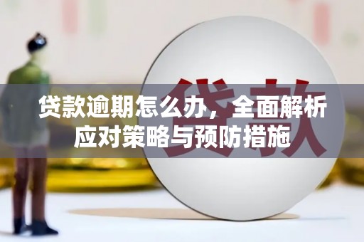 双流贷款逾期怎么办，全面解析应对策略与预防措施