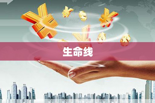 双流生命线