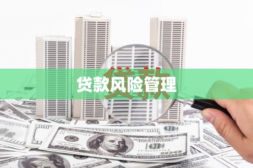 双流贷款风险管理