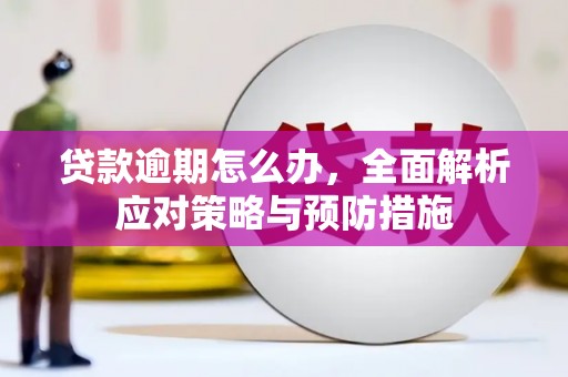双流贷款逾期怎么办，全面解析应对策略与预防措施