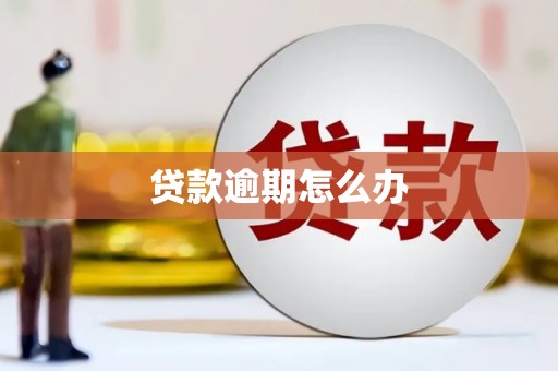 双流贷款逾期怎么办