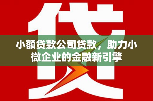 双流小额贷款公司贷款，助力小微企业的金融新引擎