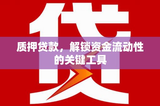 双流质押贷款，解锁资金流动性的关键工具