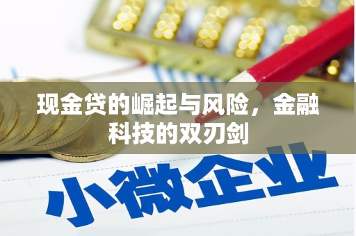 双流现金贷的崛起与风险，金融科技的双刃剑