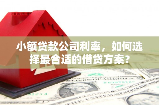 双流小额贷款公司利率，如何选择最合适的借贷方案？