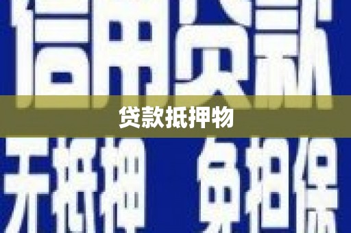 双流贷款抵押物