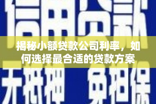 双流揭秘小额贷款公司利率，如何选择最合适的贷款方案
