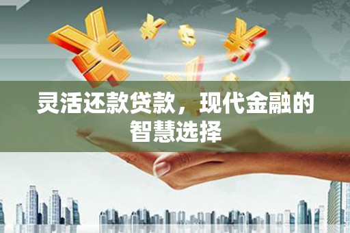 双流灵活还款贷款，现代金融的智慧选择