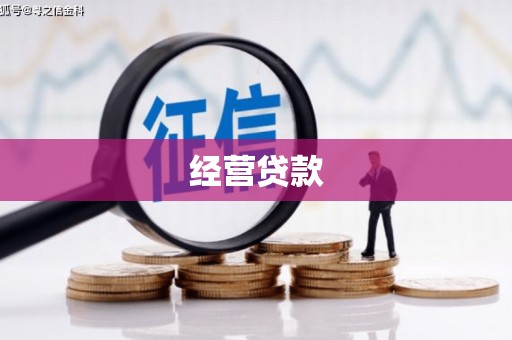 双流经营贷款