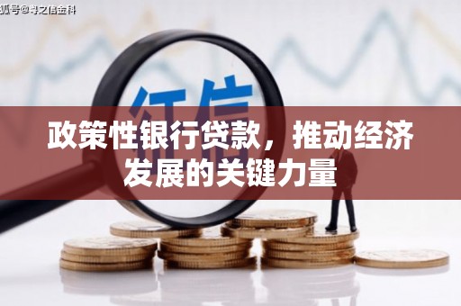 双流政策性银行贷款，推动经济发展的关键力量