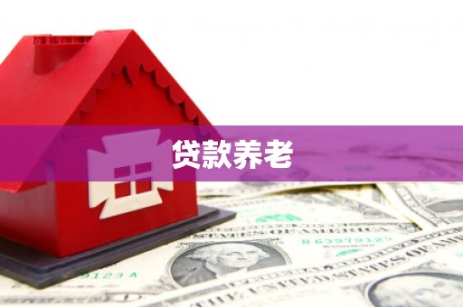 双流贷款养老