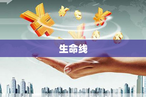 双流生命线