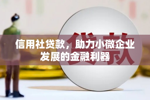 双流信用社贷款，助力小微企业发展的金融利器