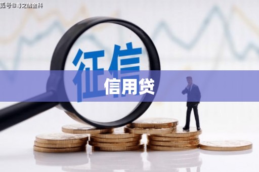 双流信用贷
