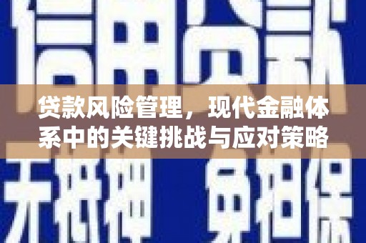 双流贷款风险管理，现代金融体系中的关键挑战与应对策略