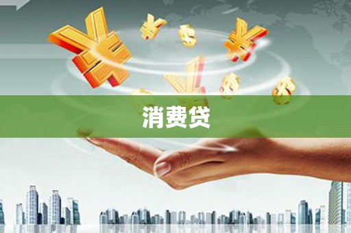 双流消费贷