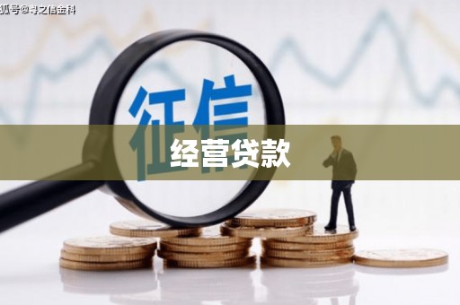 双流经营贷款